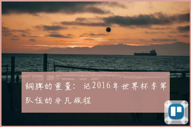 铜牌的重量：记2016年世界杯季军队伍的非凡旅程