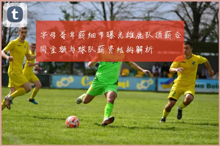 字母哥年薪细节曝光雄鹿队顶薪合同金额与球队薪资结构解析