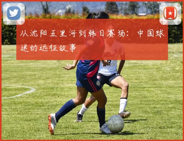 从沈阳五里河到韩日赛场：中国球迷的远征故事