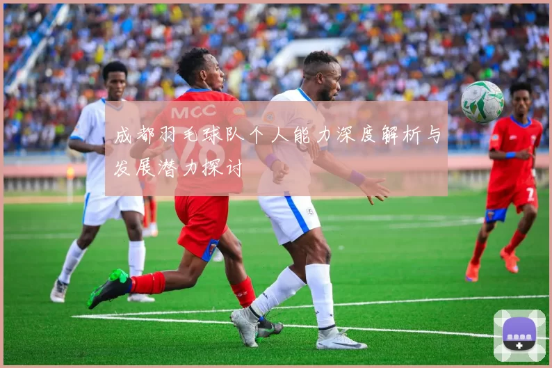 成都羽毛球队个人能力深度解析与发展潜力探讨