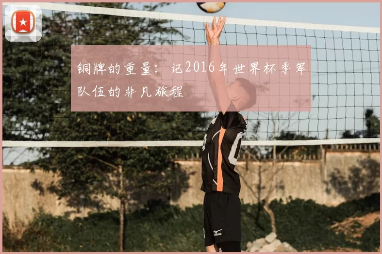铜牌的重量：记2016年世界杯季军队伍的非凡旅程