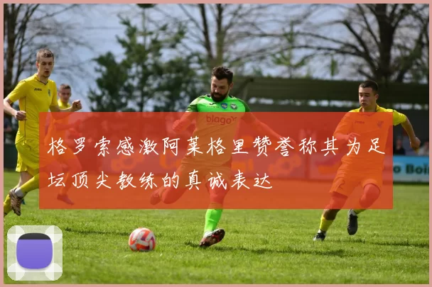格罗索感激阿莱格里赞誉称其为足坛顶尖教练的真诚表达