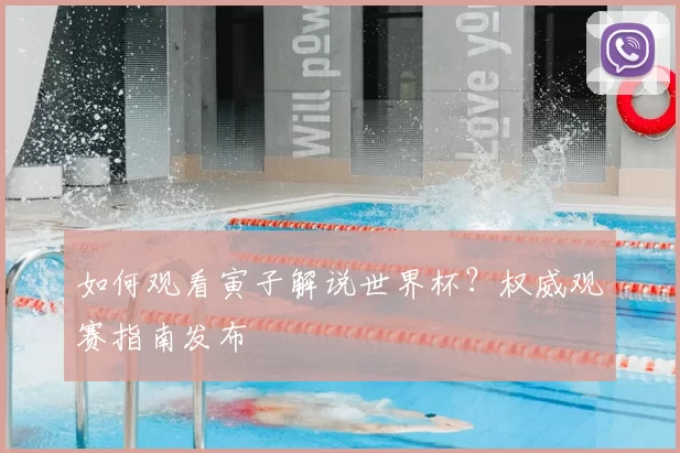 如何观看寅子解说世界杯?权威观赛指南发布