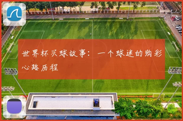 世界杯买球故事：一个球迷的购彩心路历程