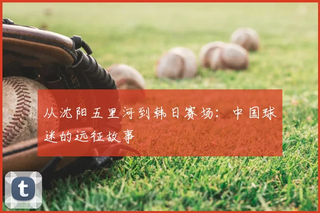 从沈阳五里河到韩日赛场：中国球迷的远征故事